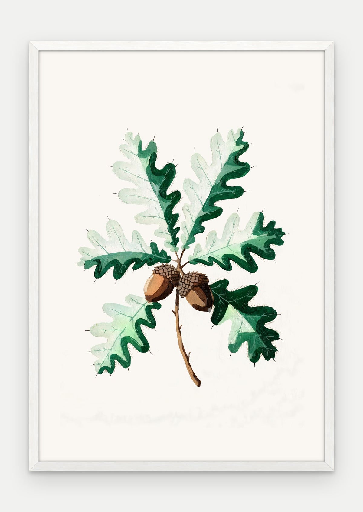 Plakat Dąb szypułkowy w ramie, oprawa: drewno białe, format 70 × 100 cm