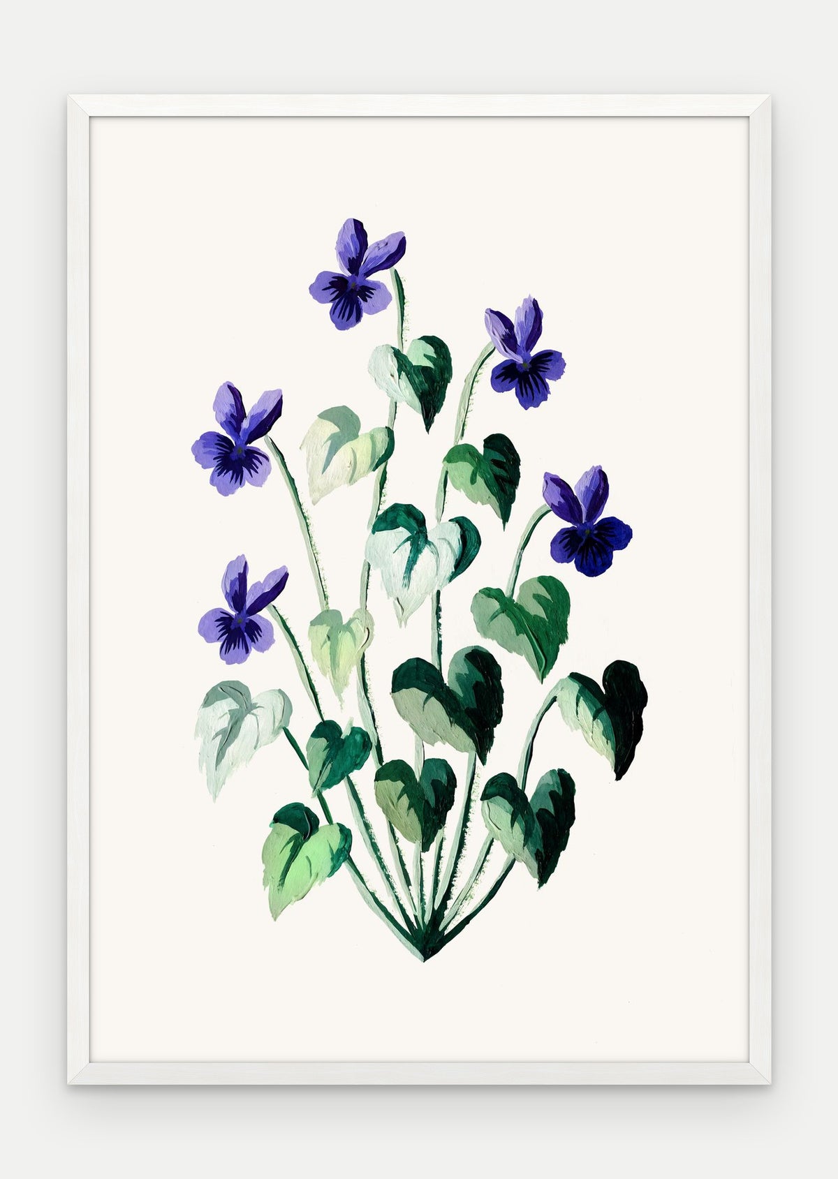 Plakat Fiołek wonny w ramie, oprawa: drewno białe, format 70 × 100 cm