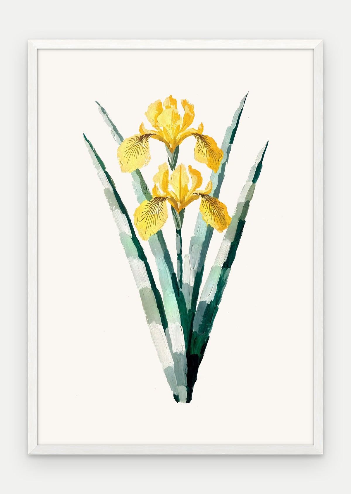Plakat Irys żółty w ramie, oprawa: drewno białe, format 70 × 100 cm