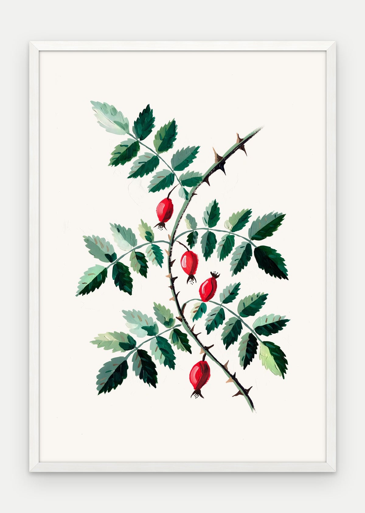 Plakat Dzika róża w ramie, oprawa: drewno białe, format 70 × 100 cm