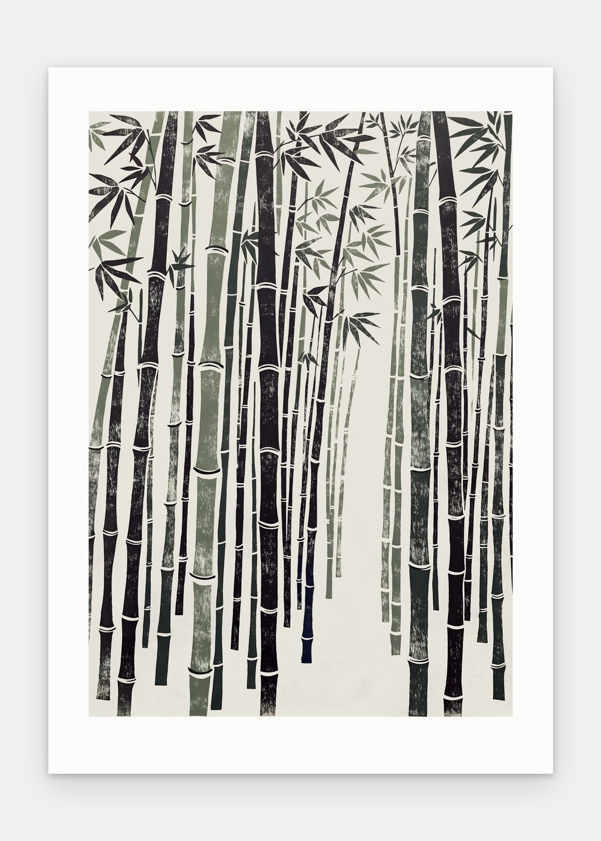 Plakat Bambus bez oprawy, z passe-partout, format 50 × 70 cm