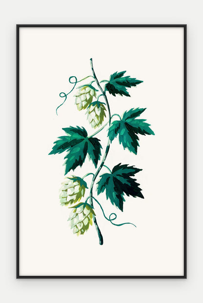 Plakat Chmiel w ramie, oprawa: aluminium czarne, format 40 × 60 cm