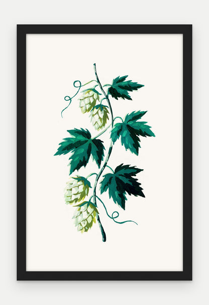 Plakat Chmiel w ramie, oprawa: drewno czarne, format 40 × 60 cm