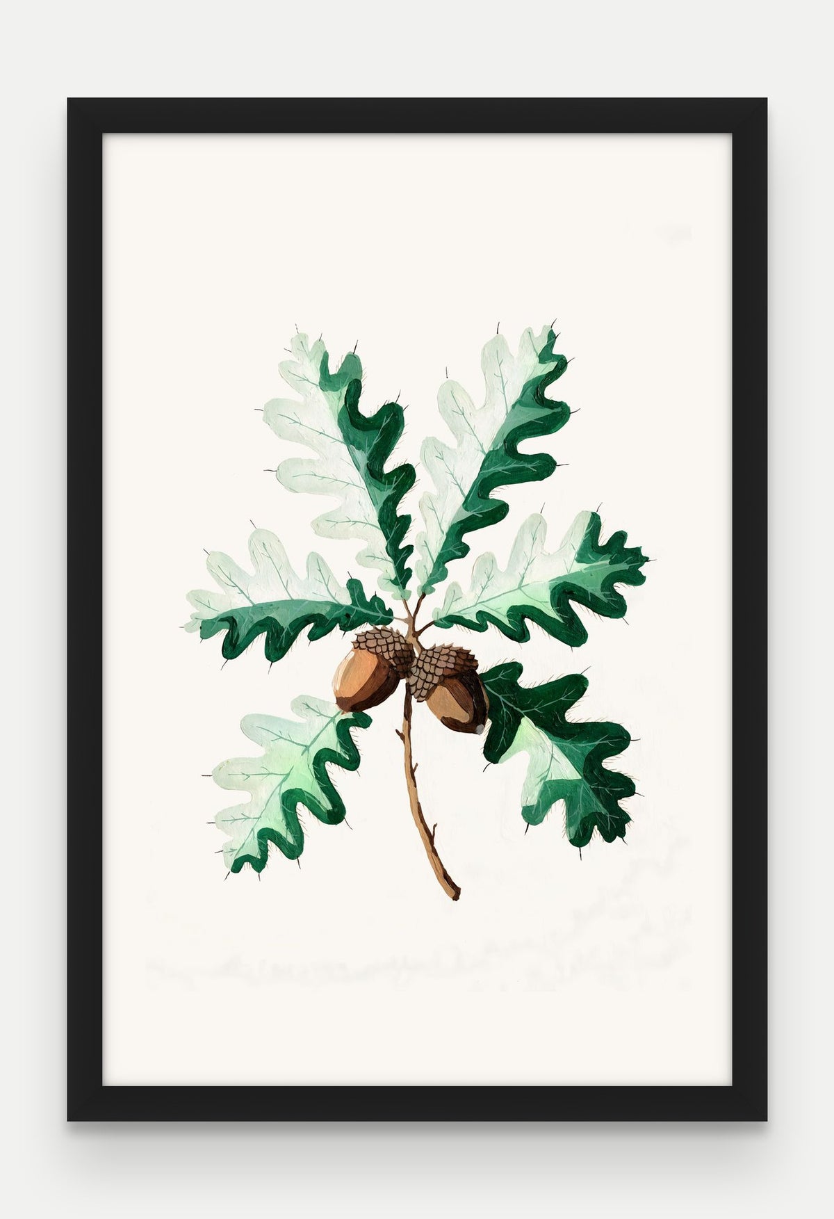 Obraz na płótnie Dąb szypułkowy w ramie, oprawa: drewno czarne, format 40 × 60 cm
