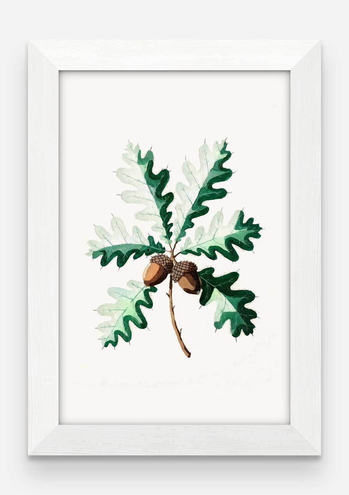 Obraz na płótnie Dąb szypułkowy w ramie, oprawa: drewno białe, format 20 × 30 cm