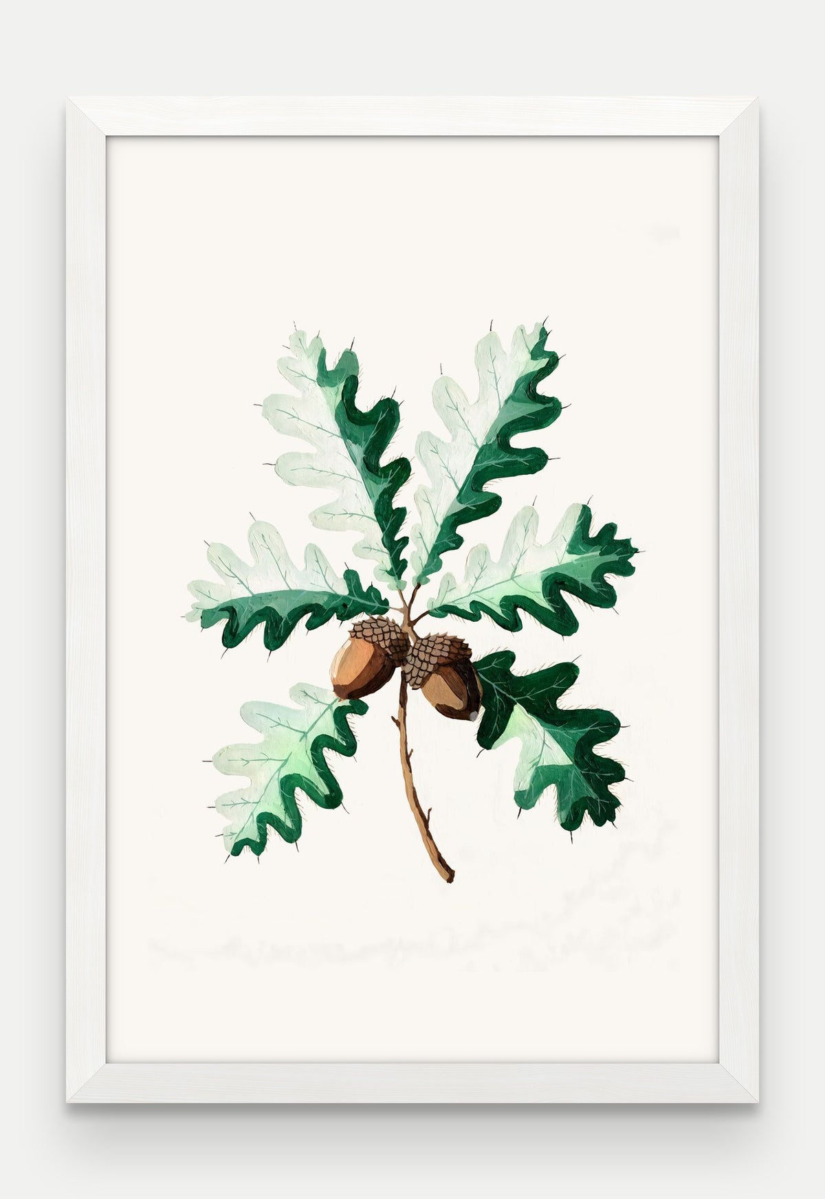 Obraz na płótnie Dąb szypułkowy w ramie, oprawa: drewno białe, format 40 × 60 cm