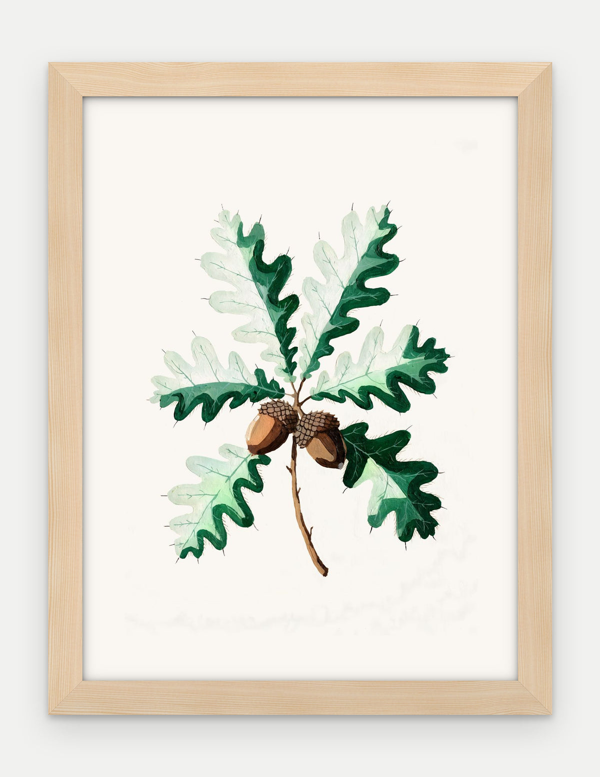 Plakat Dąb szypułkowy w ramie, oprawa: drewno naturalne, format 30 × 40 cm