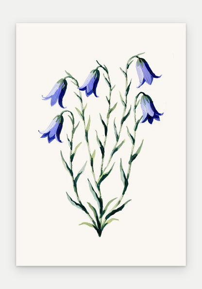Plakat Dzwonek – plakat botaniczny, sam arkusz bez oprawy