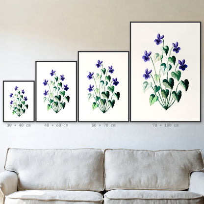 Plakat Fiołek wonny w czarnej ramie – porównanie formatów 30×40, 40×60, 50×70 i 70×100 cm nad sofą
