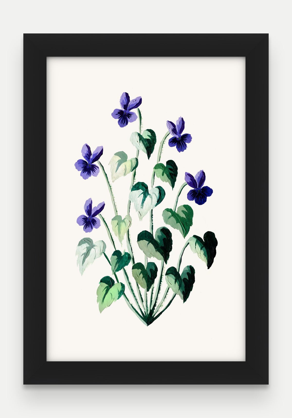 Obraz na płótnie Fiołek wonny w ramie, oprawa: drewno czarne, format 20 × 30 cm