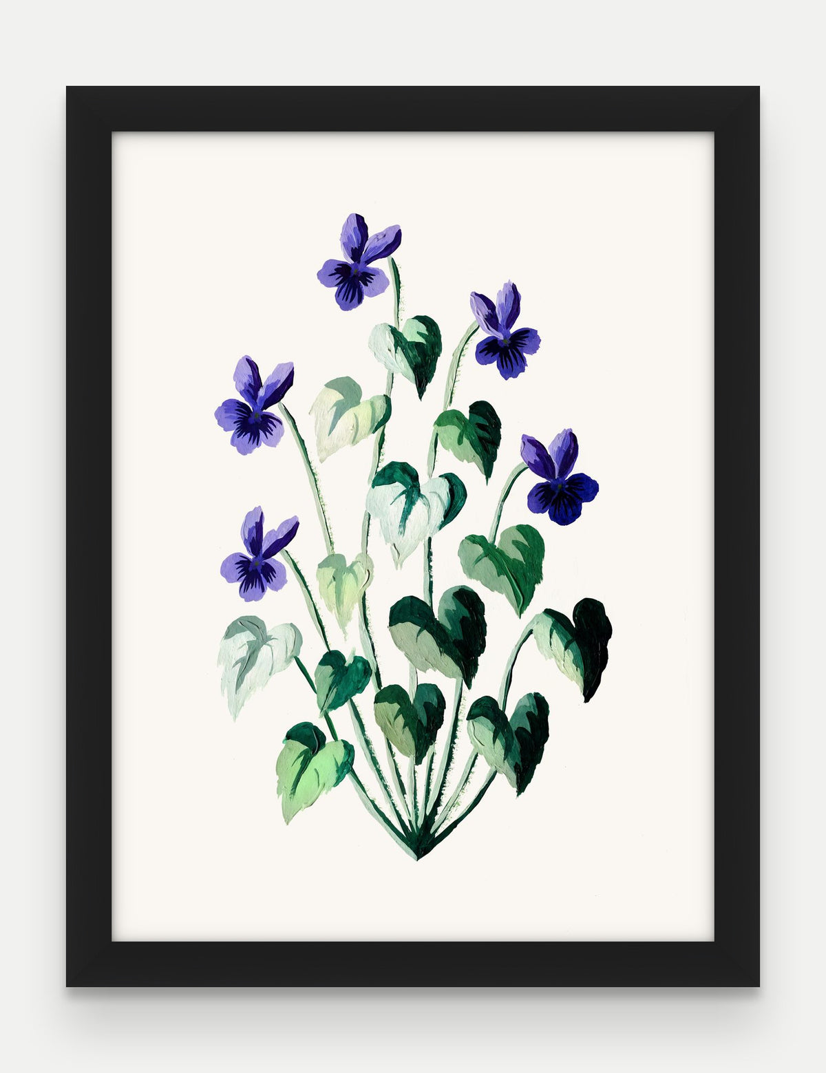 Obraz na płótnie Fiołek wonny w ramie, oprawa: drewno czarne, format 30 × 40 cm