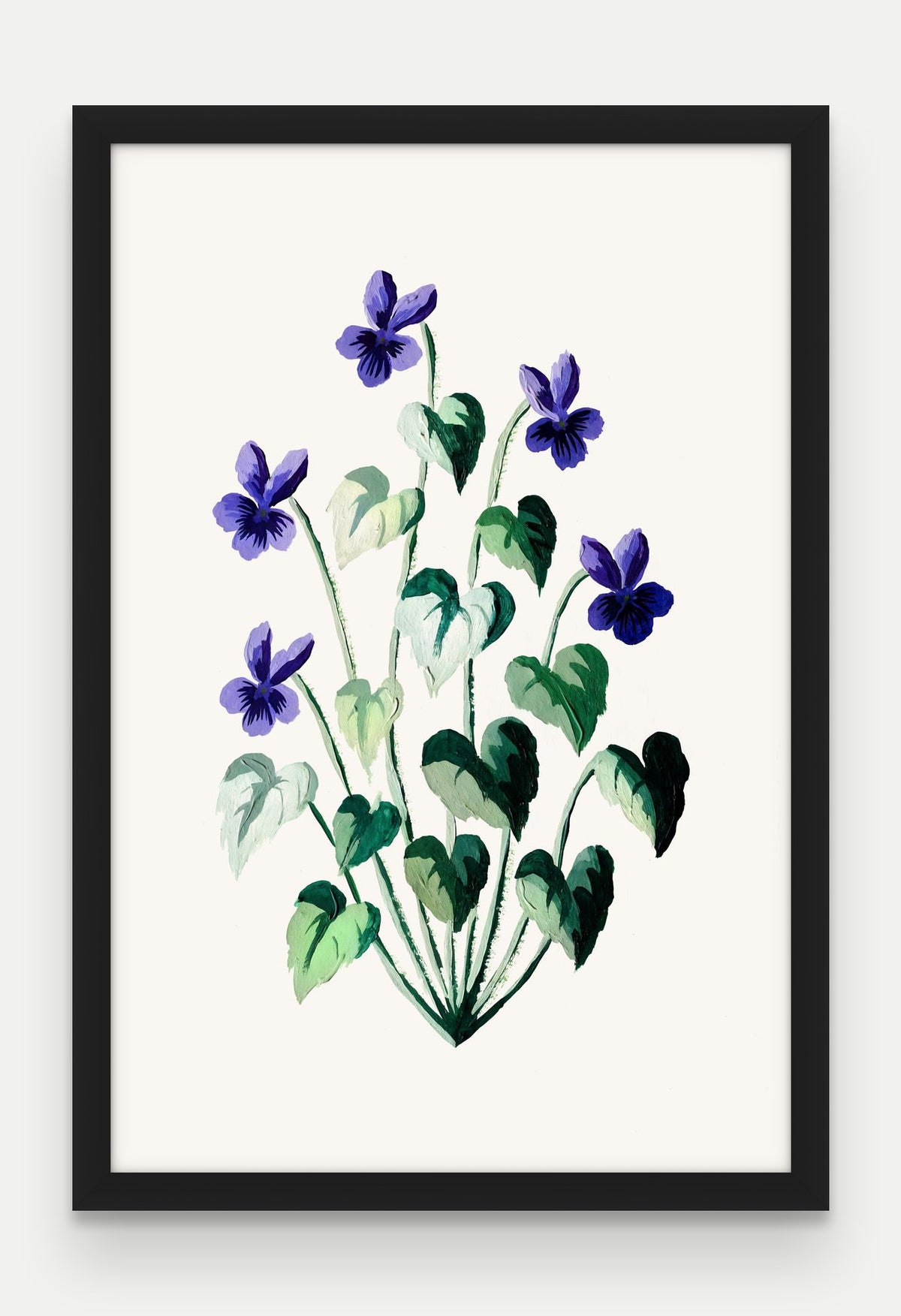 Obraz na płótnie Fiołek wonny w ramie, oprawa: drewno czarne, format 40 × 60 cm