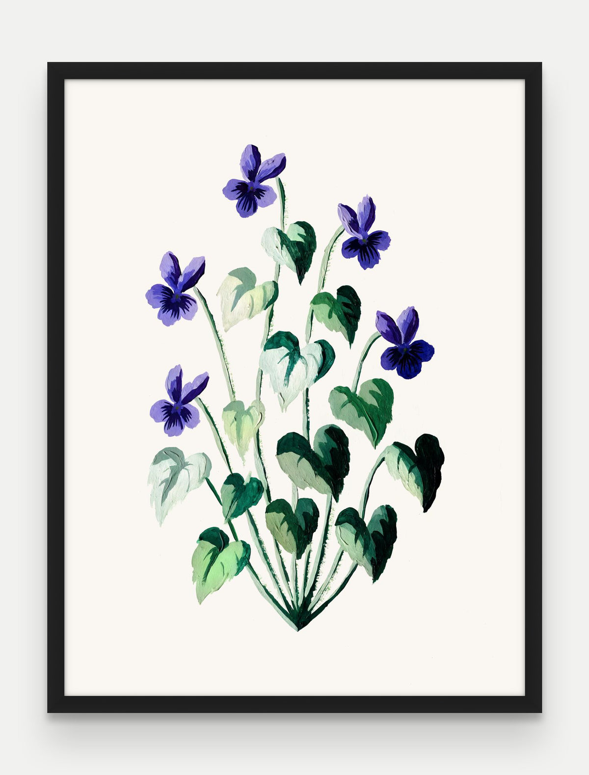 Obraz na płótnie Fiołek wonny w ramie, oprawa: drewno czarne, format 60 × 80 cm