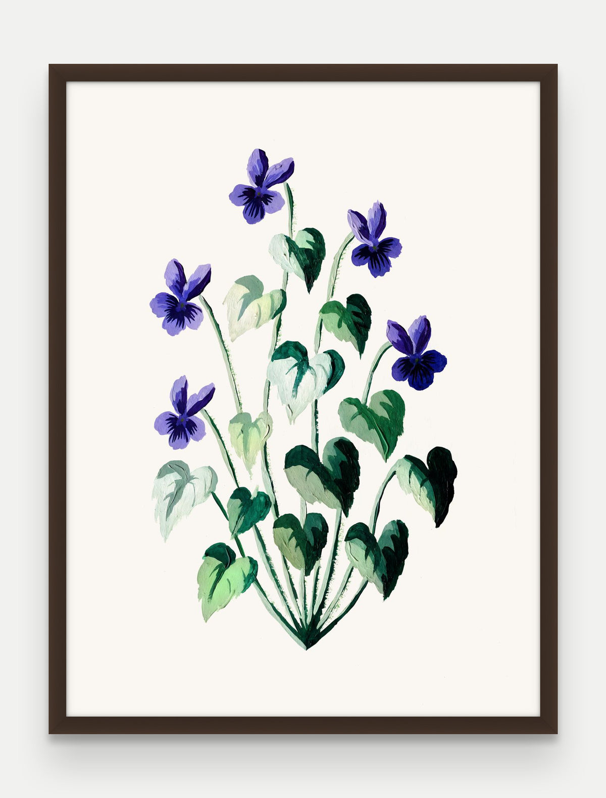 Obraz na płótnie Fiołek wonny w ramie, oprawa: drewno brązowe, format 60 × 80 cm