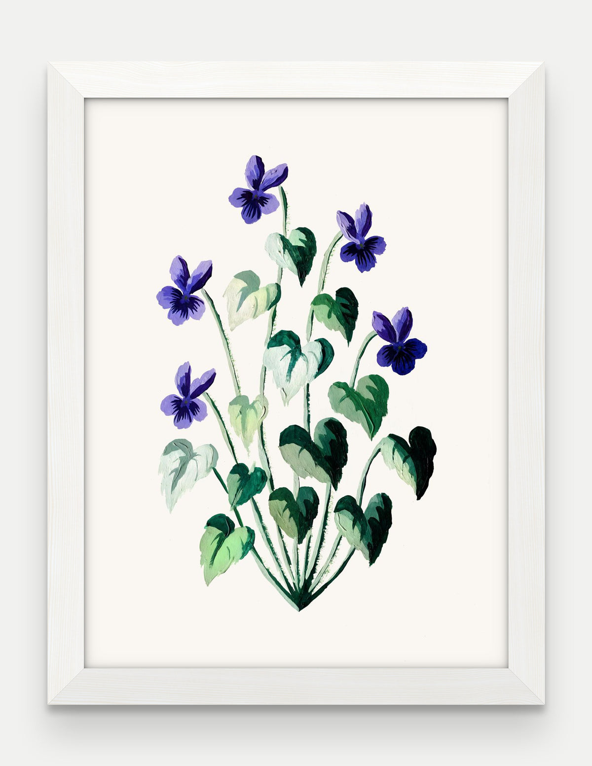 Obraz na płótnie Fiołek wonny w ramie, oprawa: drewno białe, format 30 × 40 cm