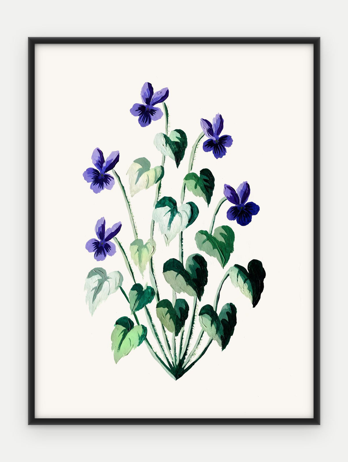Plakat Fiołek wonny w ramie, oprawa: aluminium czarne, format 30 × 40 cm