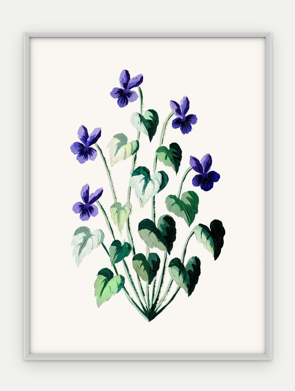 Plakat Fiołek wonny w ramie, oprawa: aluminium srebrne, format 30 × 40 cm