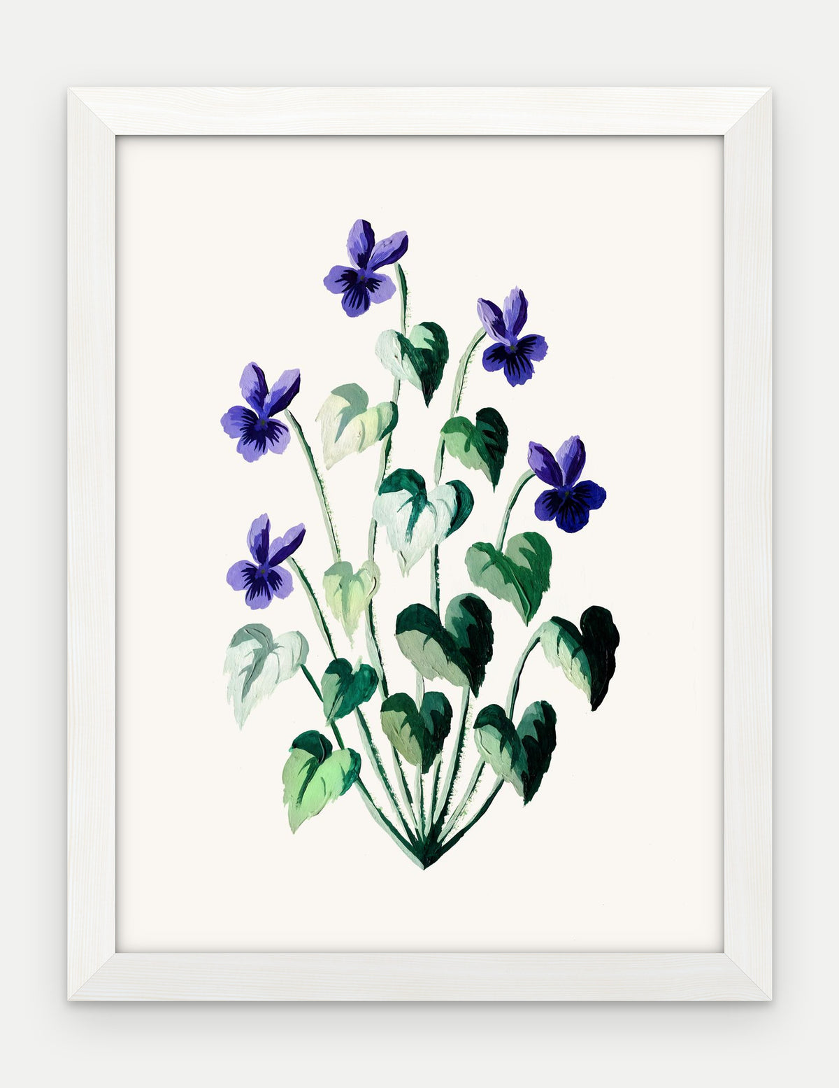 Plakat Fiołek wonny w ramie, oprawa: drewno białe, format 30 × 40 cm