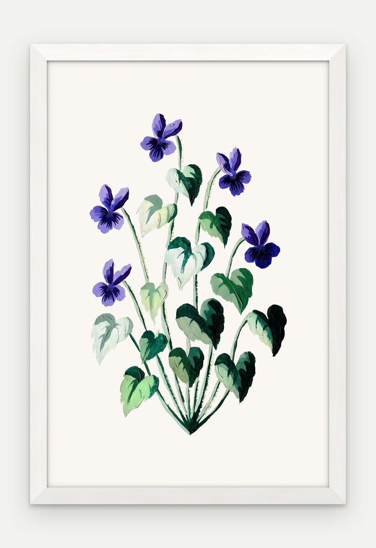Plakat Fiołek wonny w ramie, oprawa: drewno białe, format 40 × 60 cm