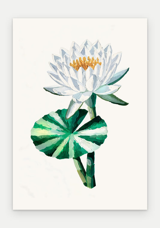 Plakat Lilia wodna – plakat botaniczny, sam arkusz bez oprawy