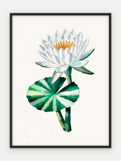 Plakat Lilia wodna w ramie, oprawa: aluminium czarne, format 30 × 40 cm