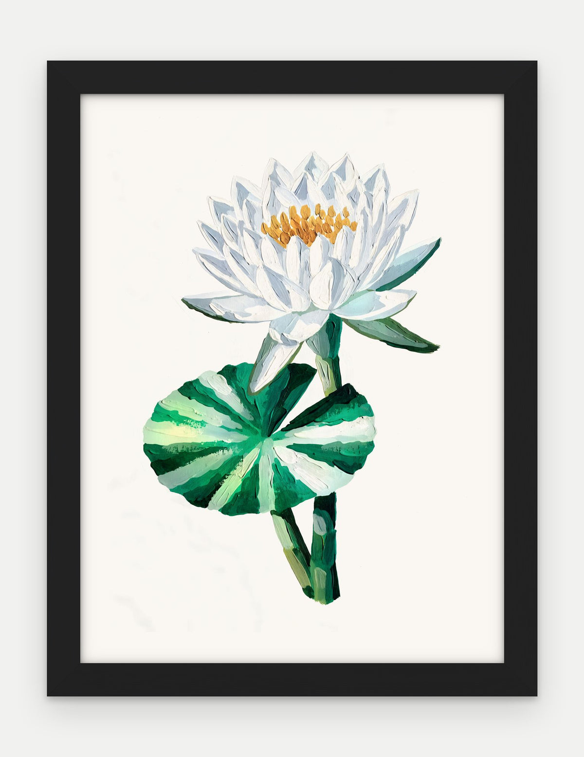 Plakat Lilia wodna w ramie, oprawa: drewno czarne, format 30 × 40 cm