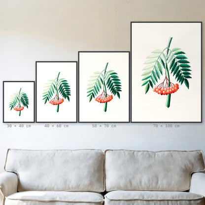 Plakat Jarzębina w czarnej ramie – porównanie formatów 30×40, 40×60, 50×70 i 70×100 cm nad sofą