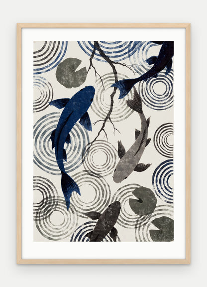 Plakat Koi w ramie, oprawa: drewno naturalne, z passe-partout, format 50 × 70 cm
