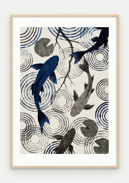 Plakat Koi w ramie, oprawa: drewno naturalne, z passe-partout, format 70 × 100 cm