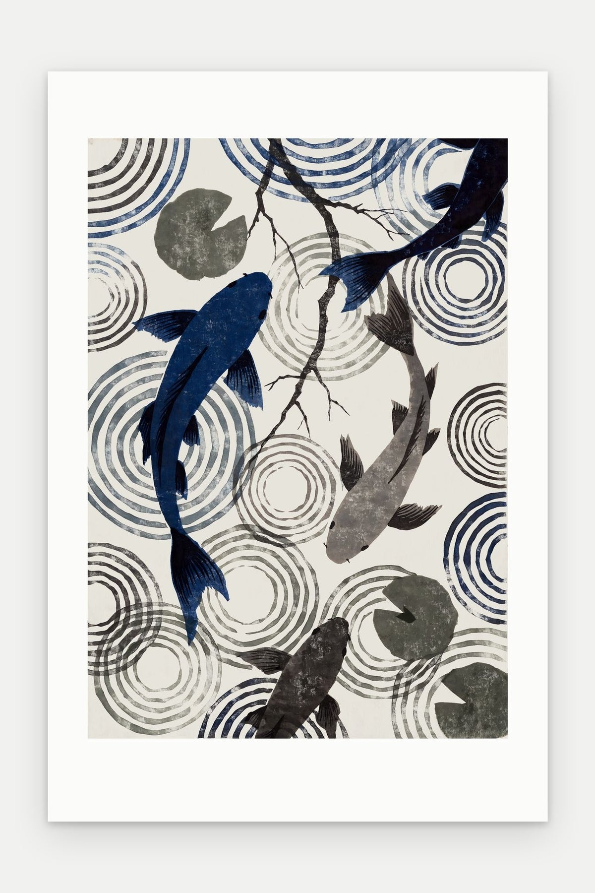 Plakat Koi bez oprawy, z passe-partout, format 40 × 60 cm