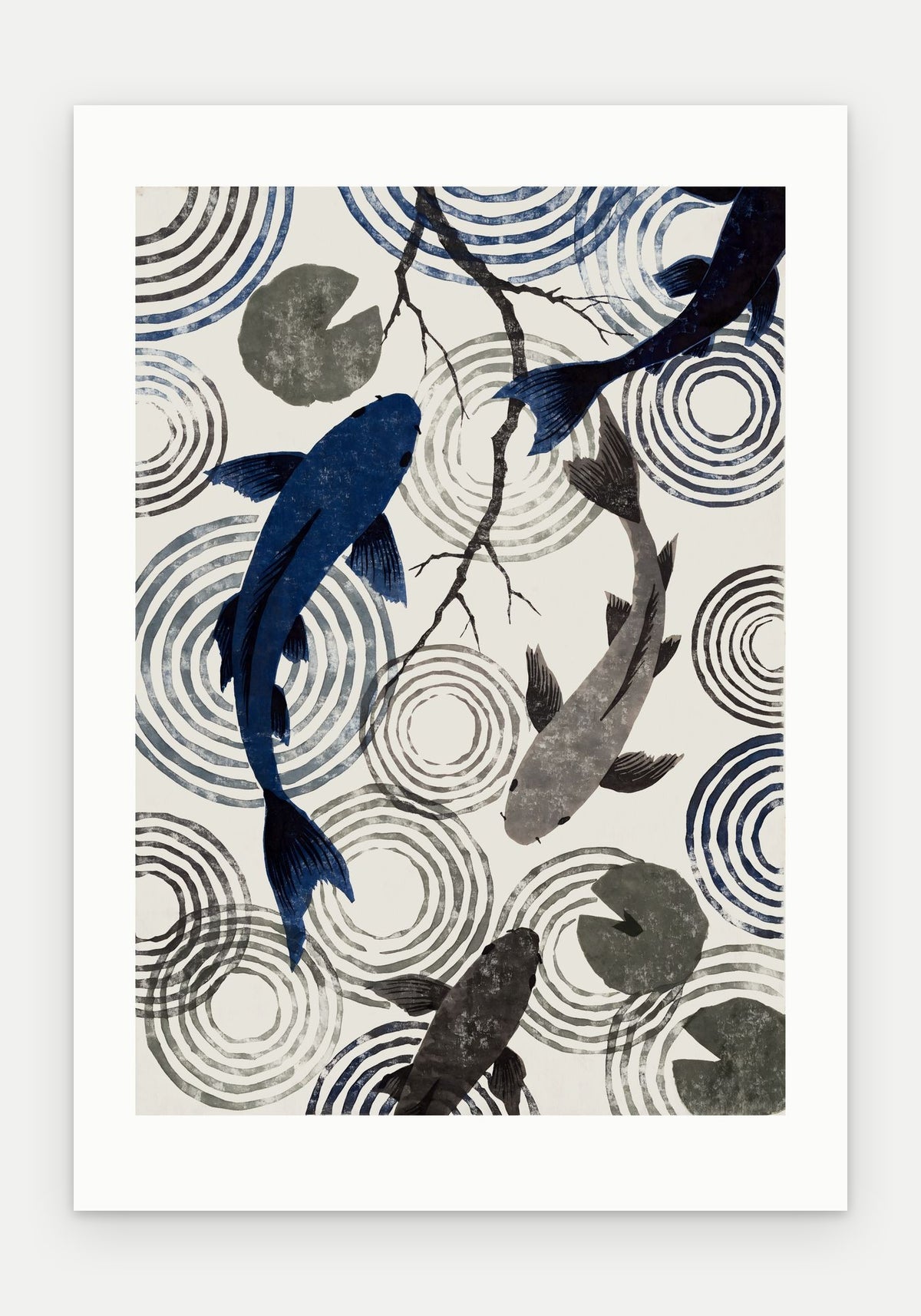 Plakat Koi bez oprawy, z passe-partout, format 70 × 100 cm