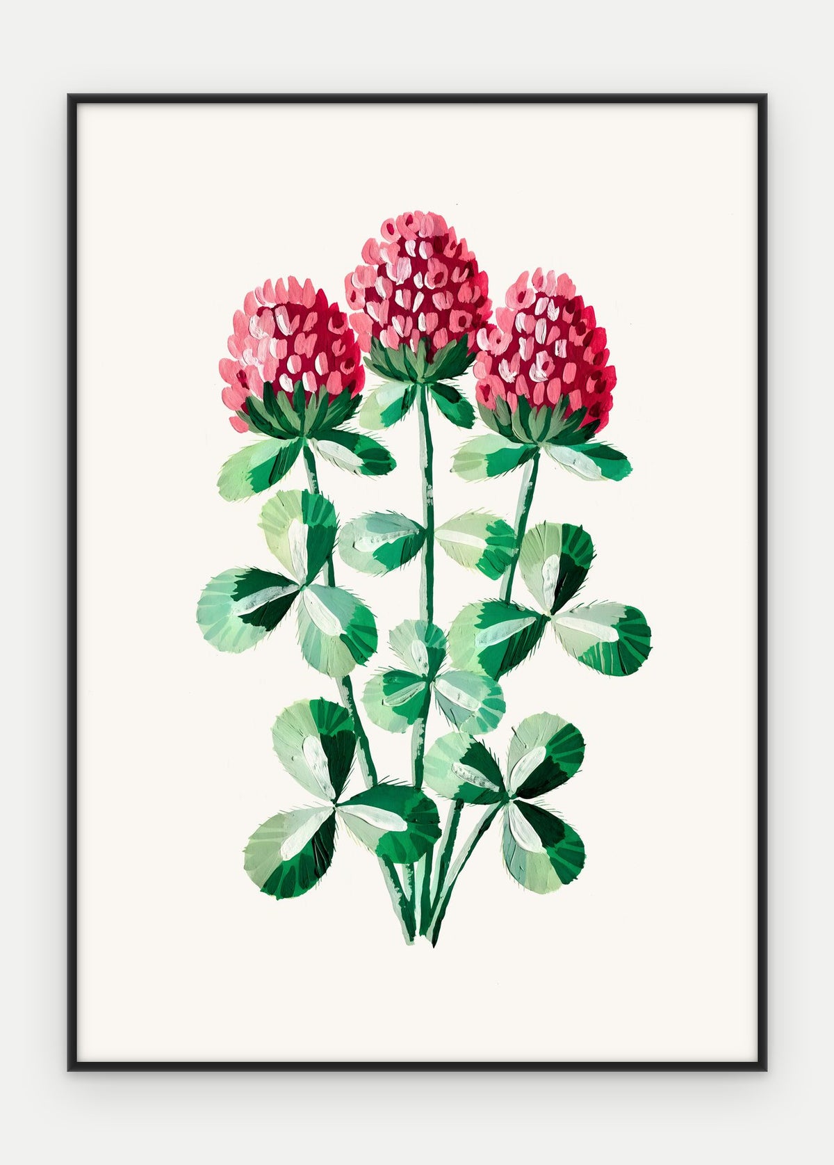 Plakat Koniczyna łąkowa w ramie, oprawa: aluminium czarne, format 50 × 70 cm