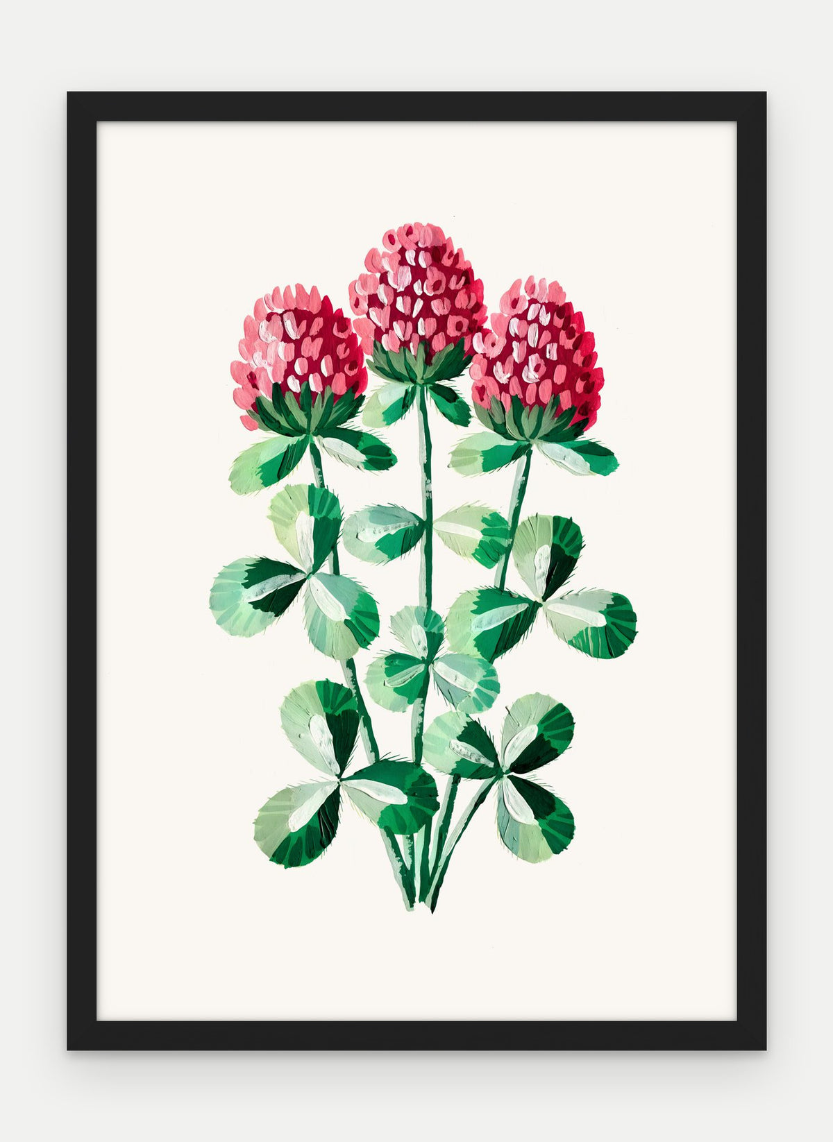 Plakat Koniczyna łąkowa w ramie, oprawa: drewno czarne, format 50 × 70 cm
