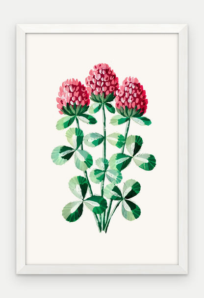 Plakat Koniczyna łąkowa w ramie, oprawa: drewno białe, format 40 × 60 cm