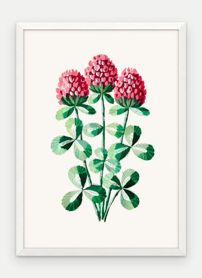 Plakat Koniczyna łąkowa w ramie, oprawa: drewno białe, format 50 × 70 cm
