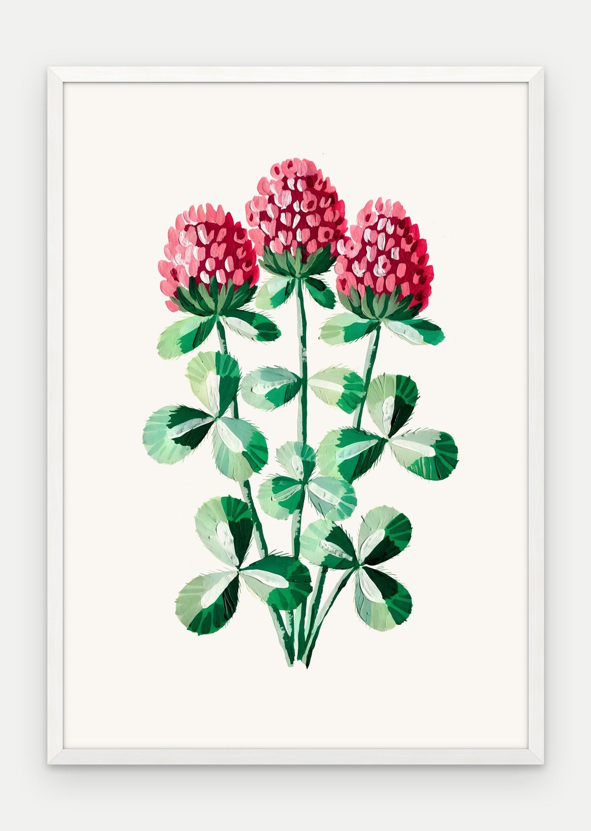Plakat Koniczyna łąkowa w ramie, oprawa: drewno białe, format 70 × 100 cm