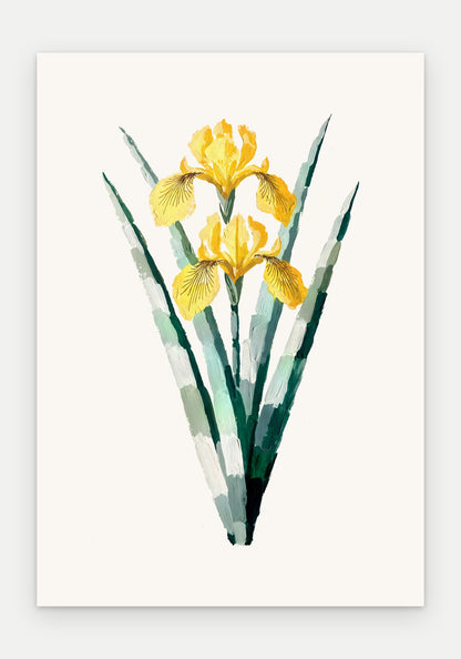 Plakat Irys żółty – plakat botaniczny, sam arkusz bez oprawy