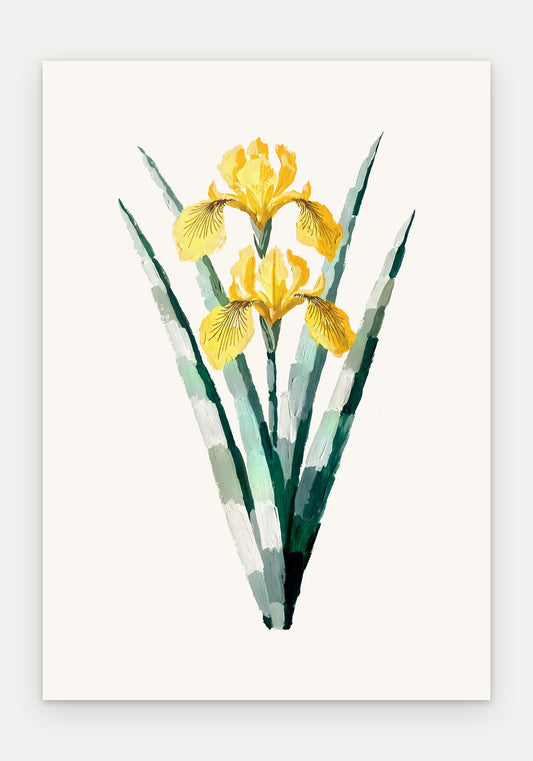 Plakat Irys żółty – plakat botaniczny, sam arkusz bez oprawy