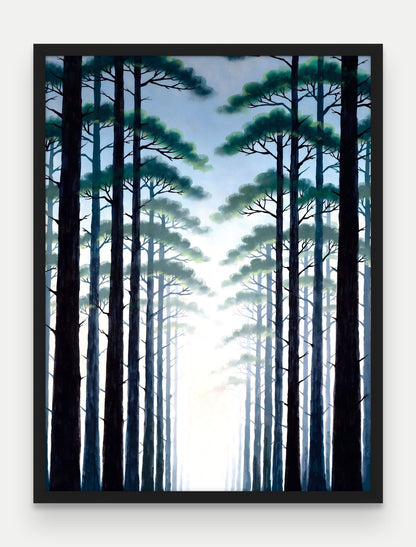 Obraz na płótnie Las w ramie, oprawa: drewno czarne, format 60 × 80 cm