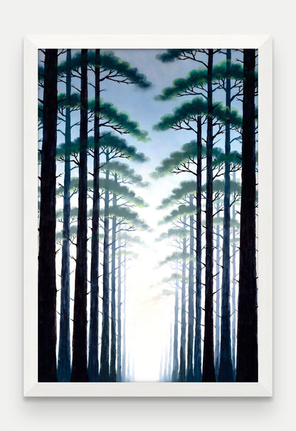 Obraz na płótnie Las w ramie, oprawa: drewno białe, format 40 × 60 cm