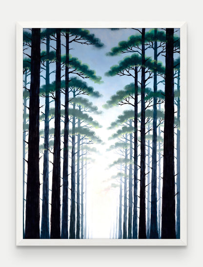 Obraz na płótnie Las w ramie, oprawa: drewno białe, format 60 × 80 cm