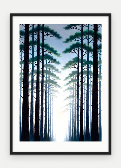 Plakat Las w ramie, oprawa: drewno czarne, z passe-partout, format 50 × 70 cm