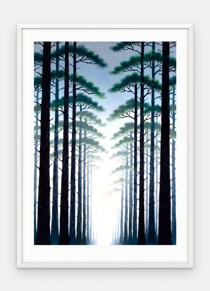 Plakat Las w ramie, oprawa: drewno białe, z passe-partout, format 50 × 70 cm