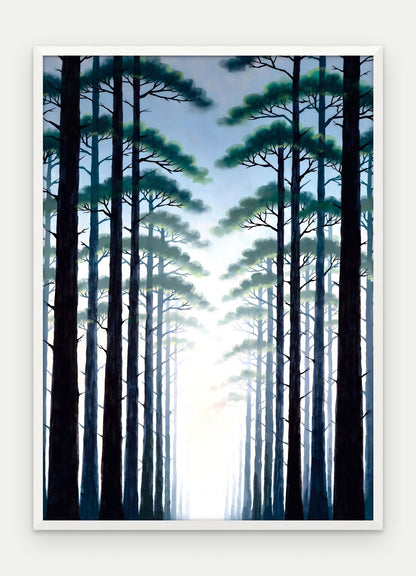 Plakat Las w ramie, oprawa: drewno białe, format 50 × 70 cm