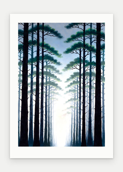 Plakat Las bez oprawy, z passe-partout, format 50 × 70 cm