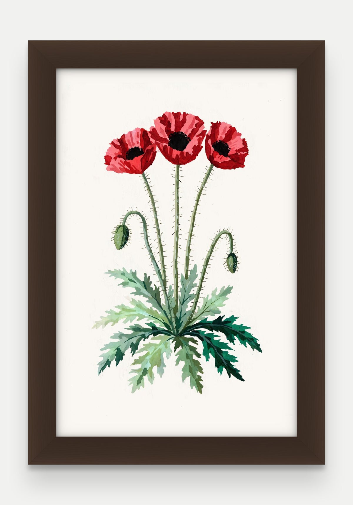 Obraz na płótnie Mak polny w ramie, oprawa: drewno brązowe, format 20 × 30 cm