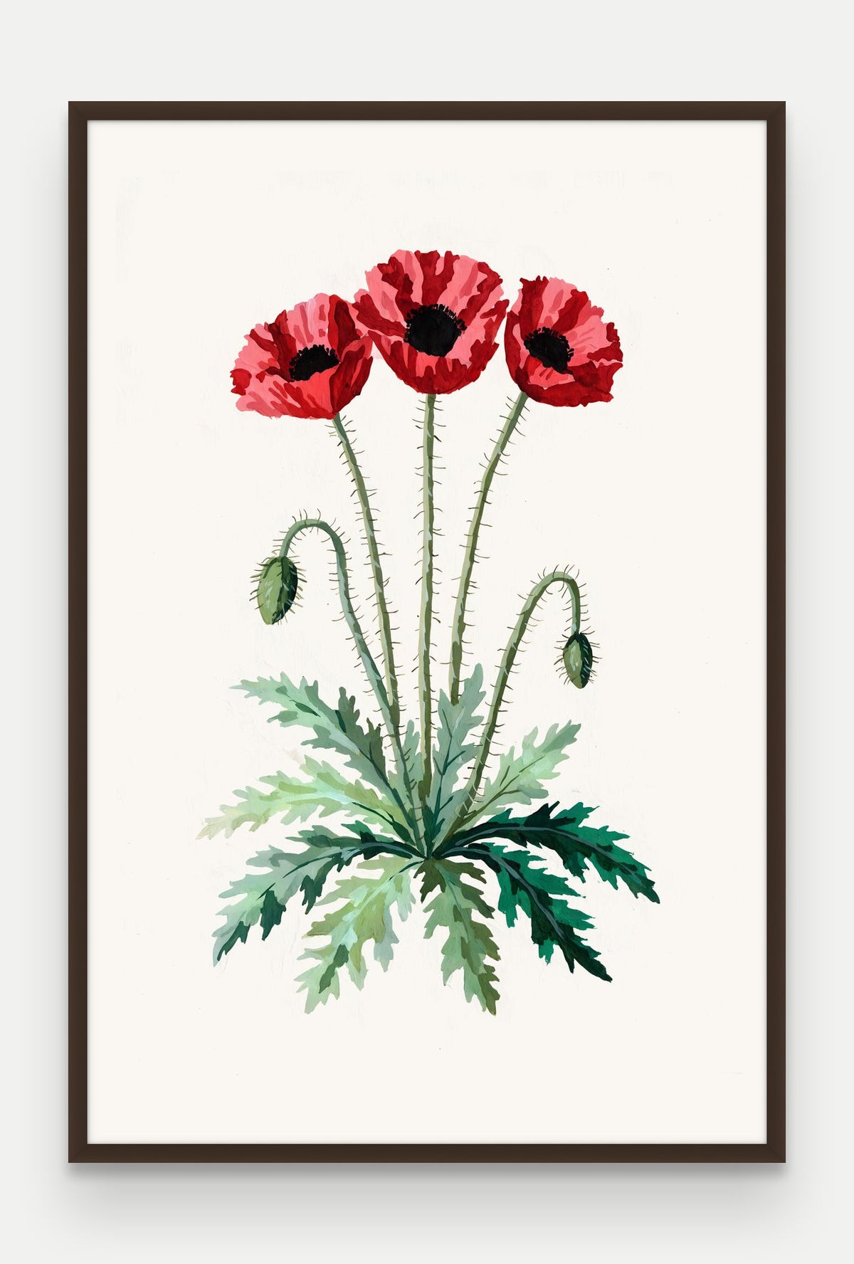Obraz na płótnie Mak polny w ramie, oprawa: drewno brązowe, format 80 × 120 cm