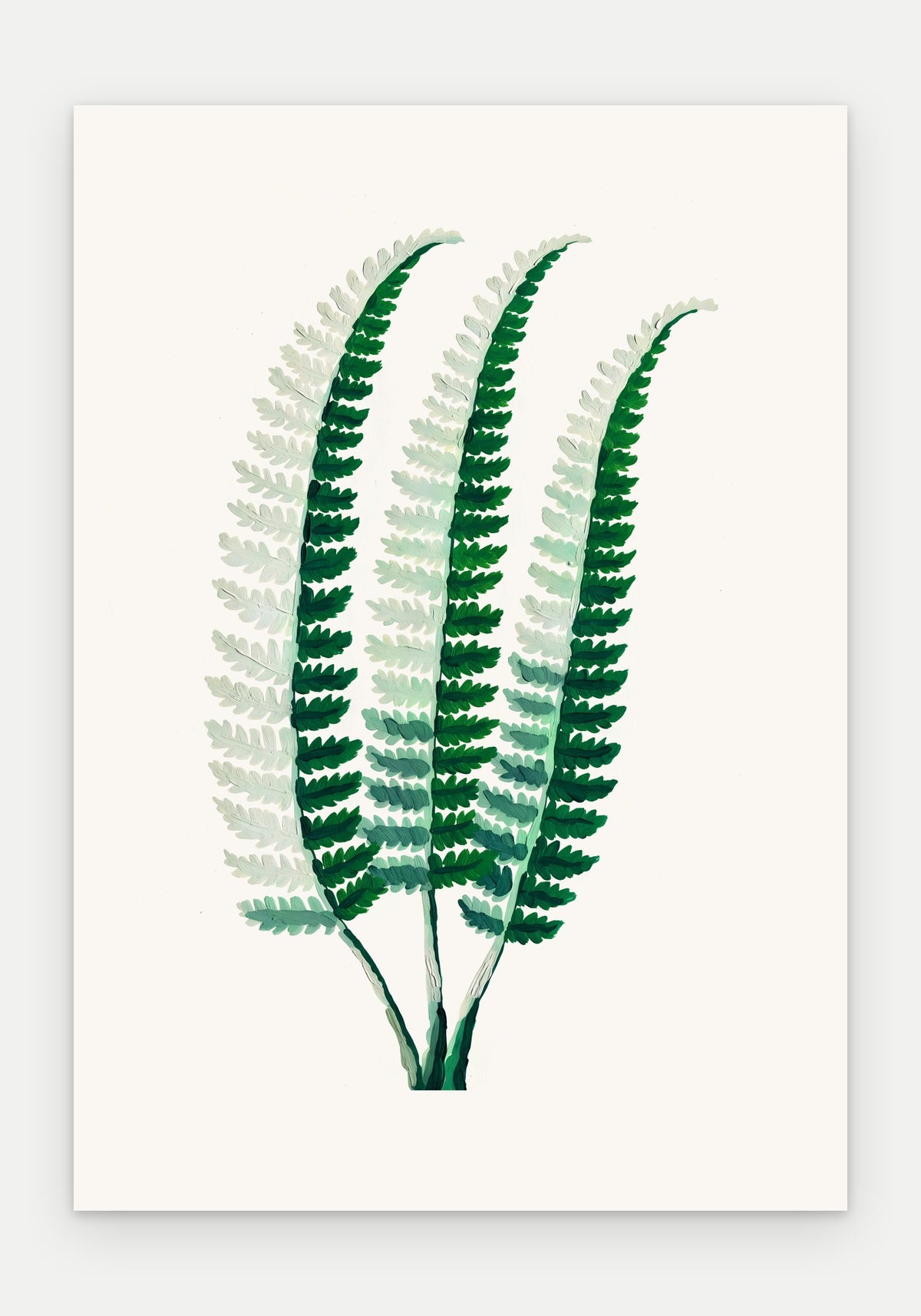 Plakat Paproć narecznica – plakat botaniczny, sam arkusz bez oprawy
