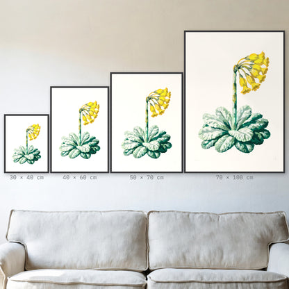 Plakat Pierwiosnek w czarnej ramie – porównanie formatów 30×40, 40×60, 50×70 i 70×100 cm nad sofą