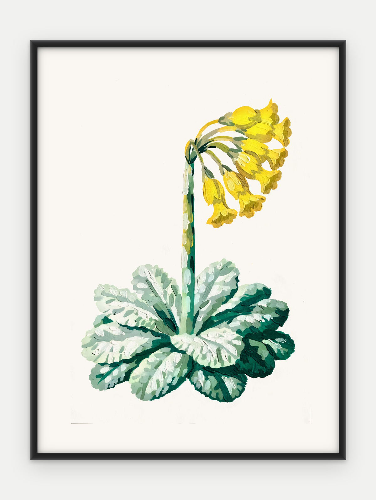 Plakat Pierwiosnek w ramie, oprawa: aluminium czarne, format 30 × 40 cm